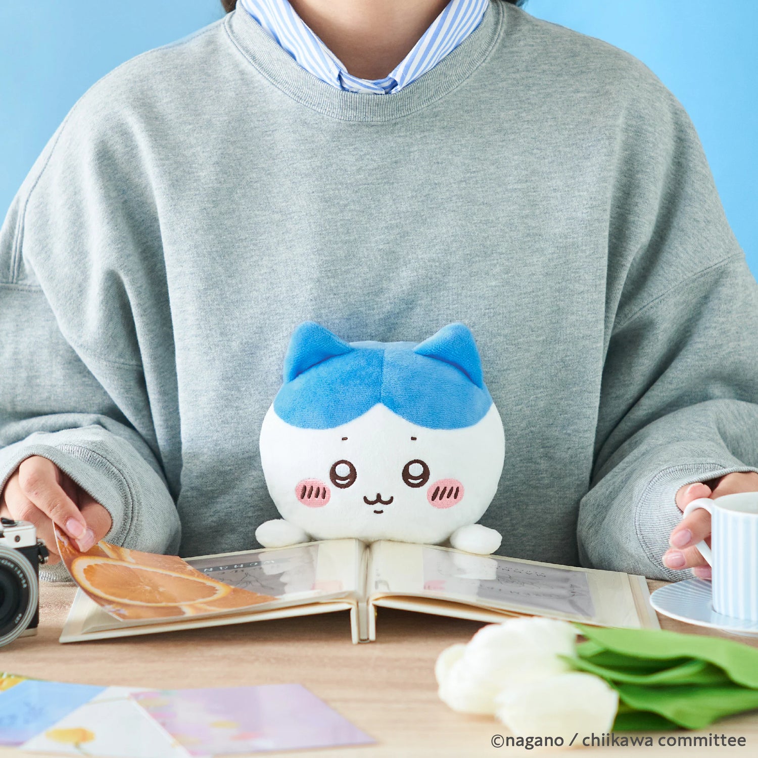 Peluche Posture Pal Chiikawa Hachiware