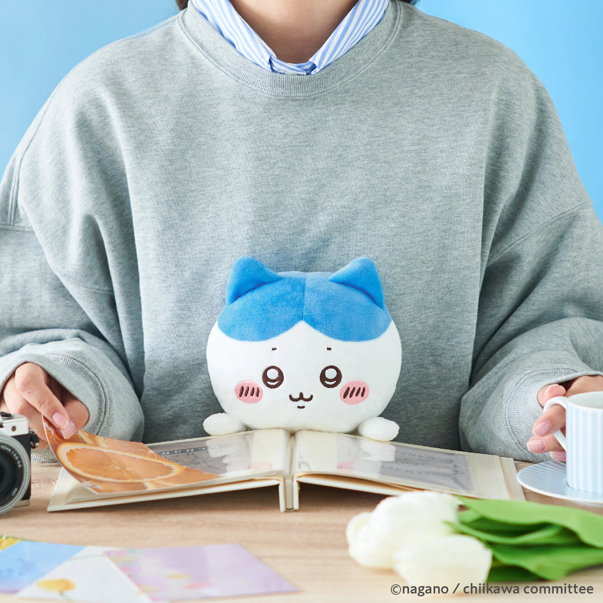 Peluche Posture Pal Chiikawa Hachiware