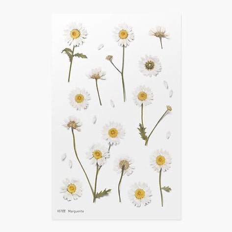 Stickers de Flores Prensadas Marguerite