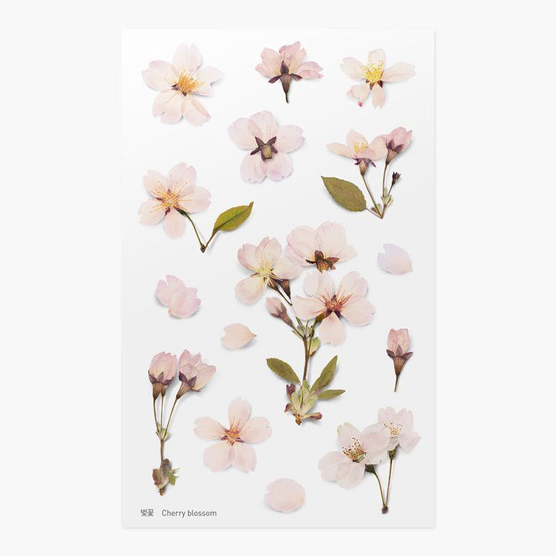 Stickers de Flores Prensadas Cherry Blossom