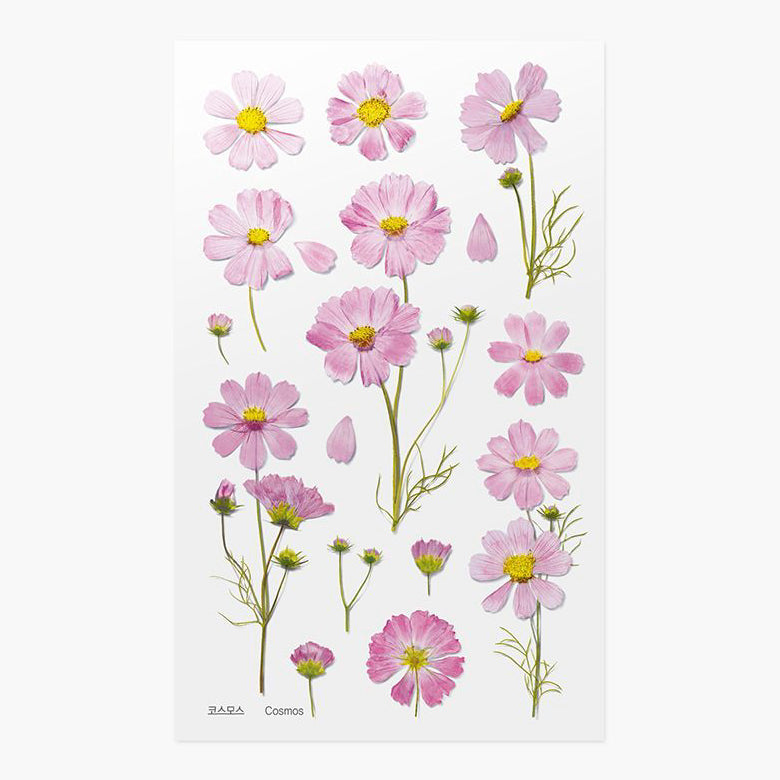 Stickers de Flores Prensadas Cosmos