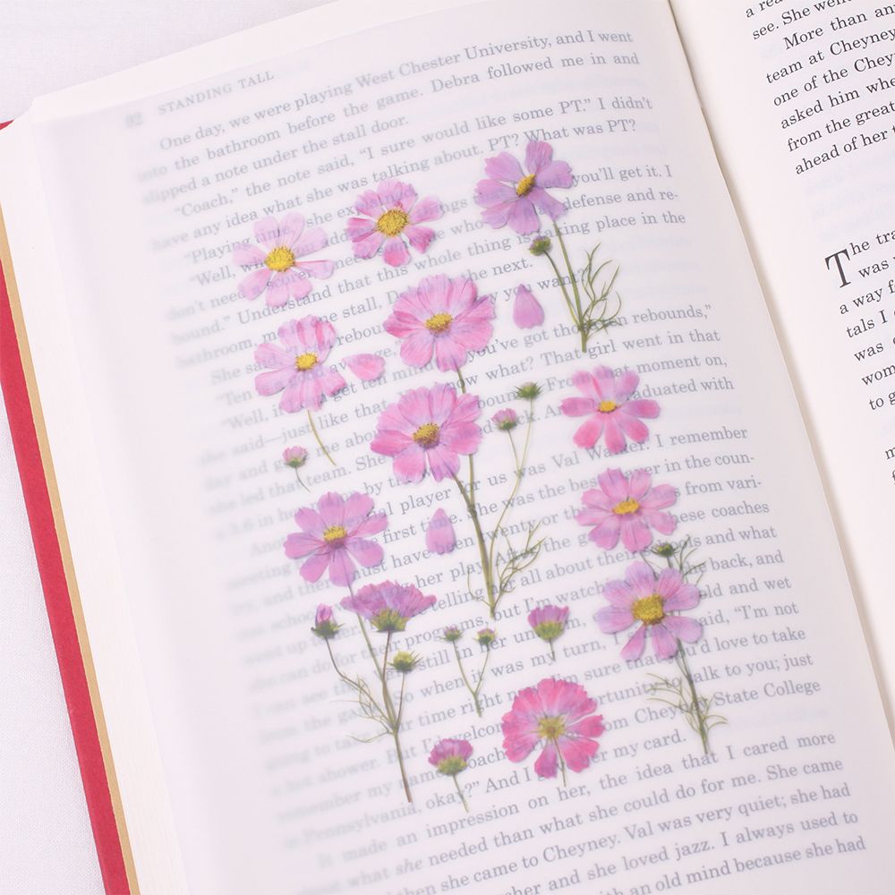 Stickers de Flores Prensadas Cosmos