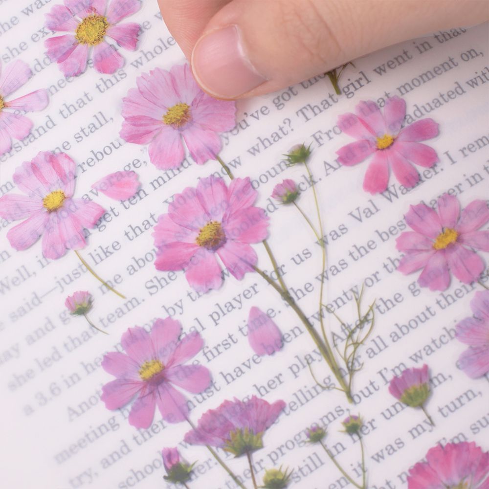 Stickers de Flores Prensadas Cosmos