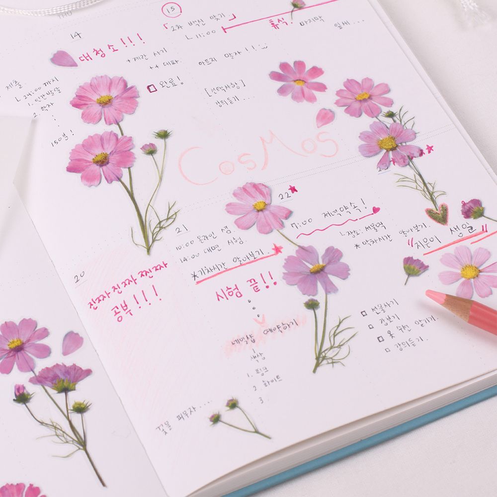 Stickers de Flores Prensadas Cosmos