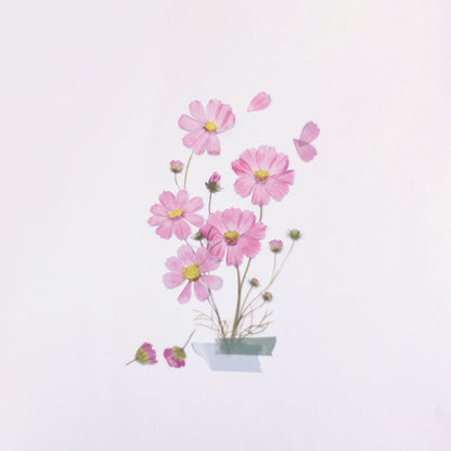 Stickers de Flores Prensadas Cosmos