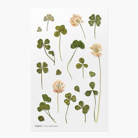 Stickers de Flores Prensadas Four Leaf Clover