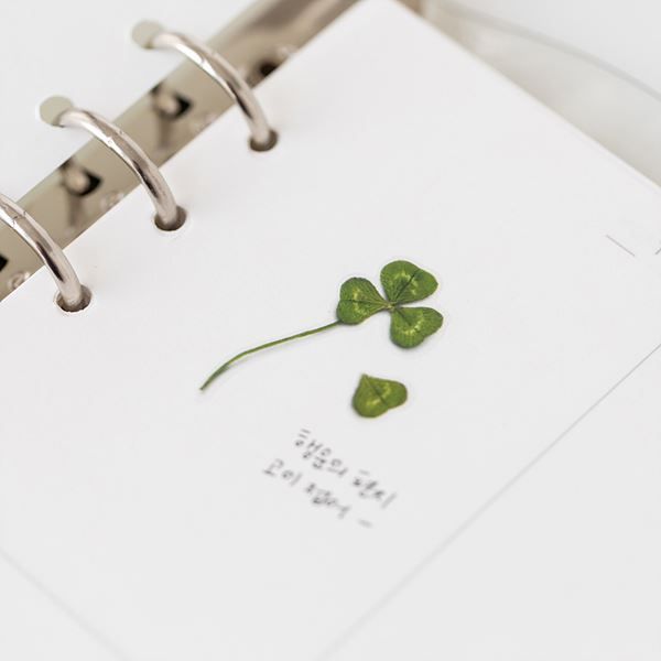 Stickers de Flores Prensadas Four Leaf Clover