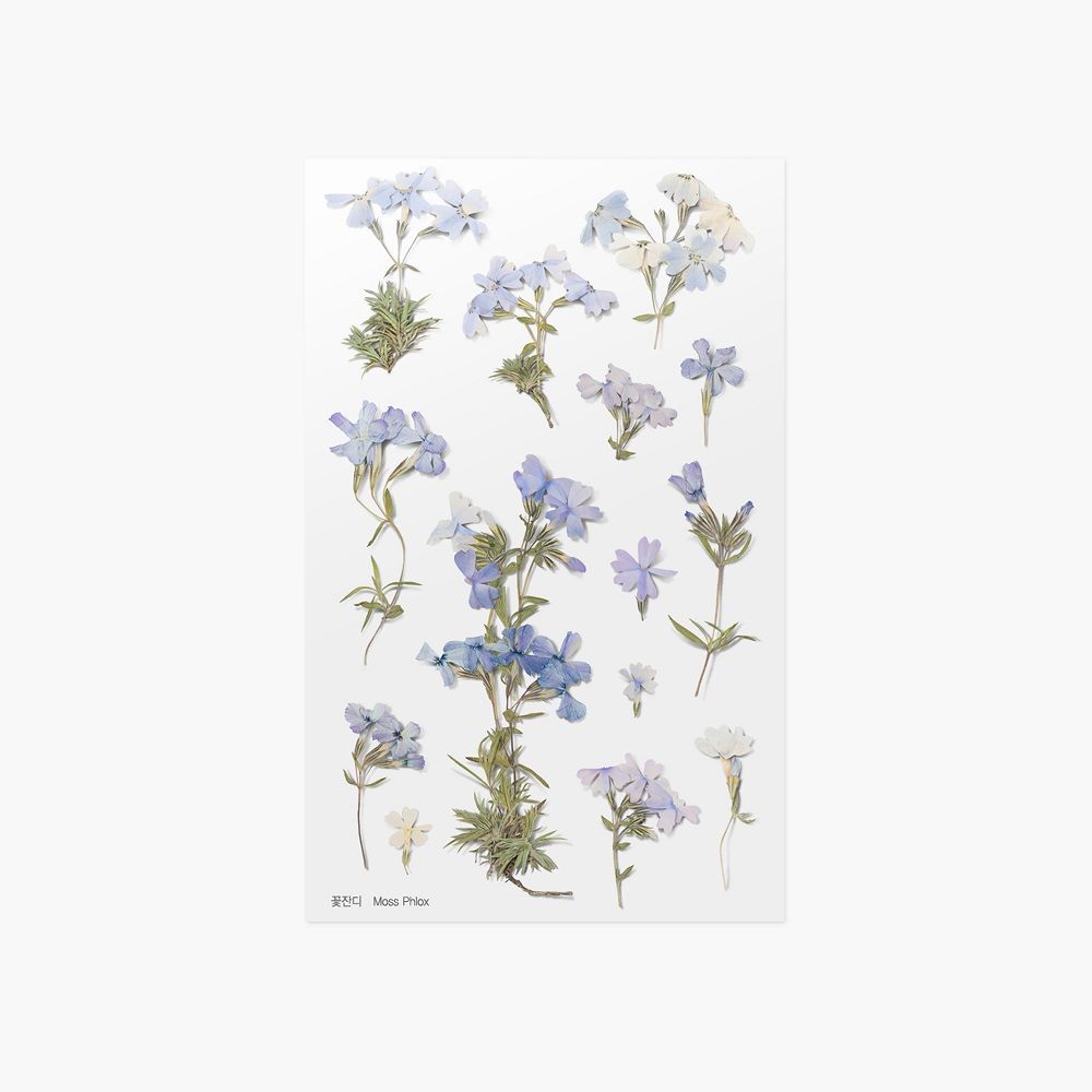 Stickers de Flores Prensadas Moss Phlox