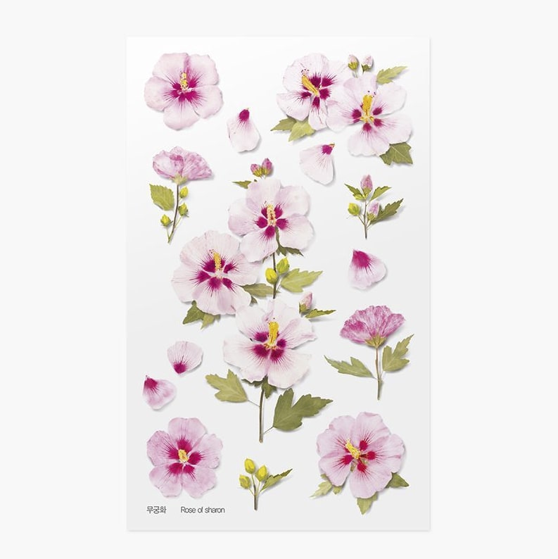 Stickers de Flores Prensadas Rose Of Sharon