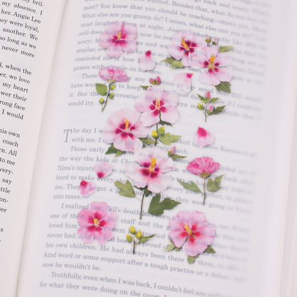 Stickers de Flores Prensadas Rose Of Sharon