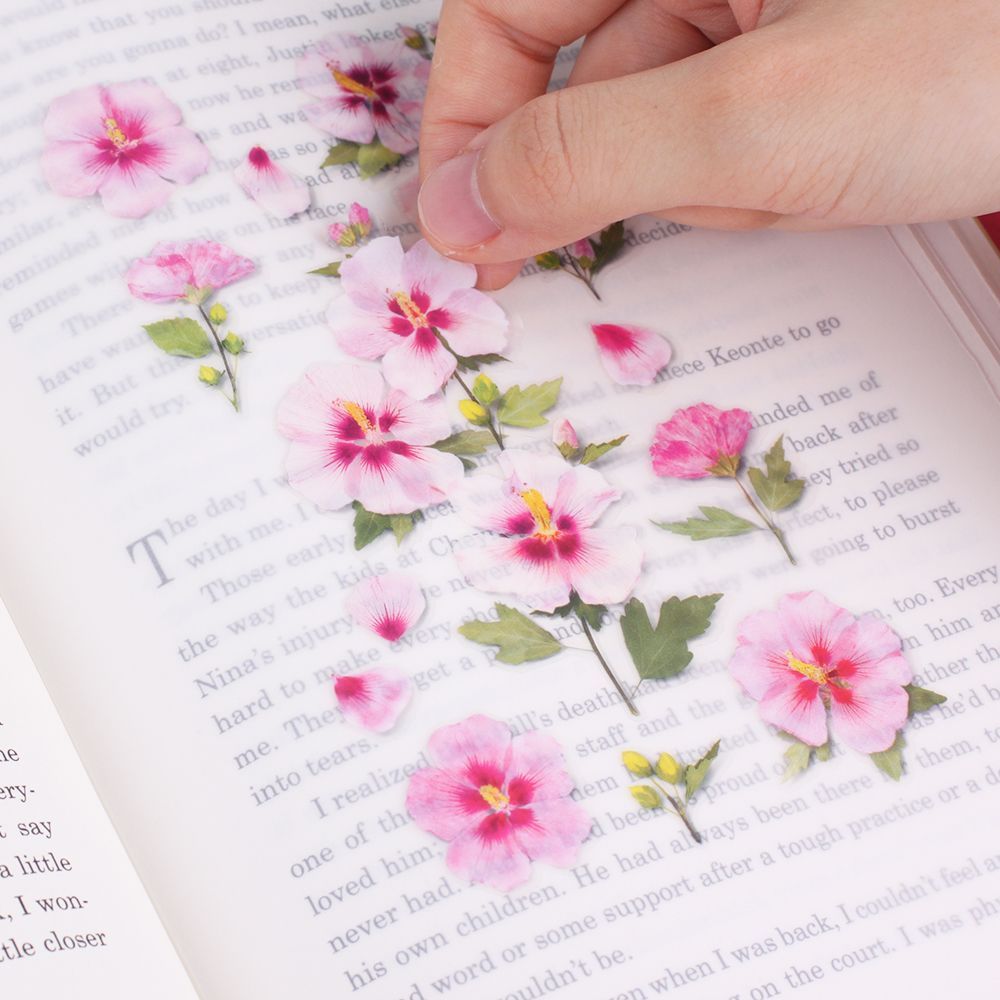 Stickers de Flores Prensadas Rose Of Sharon