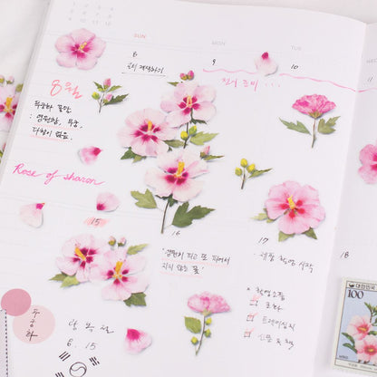 Stickers de Flores Prensadas Rose Of Sharon