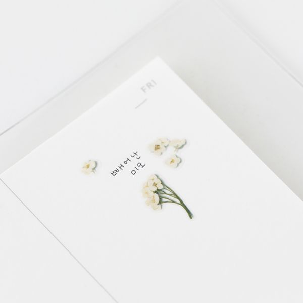 Stickers de Flores Prensadas Sweet Alyssum
