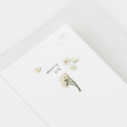 Stickers de Flores Prensadas Sweet Alyssum
