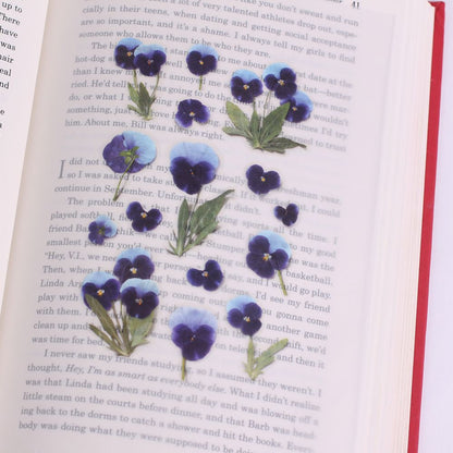 Stickers de Flores Prensadas Pansy