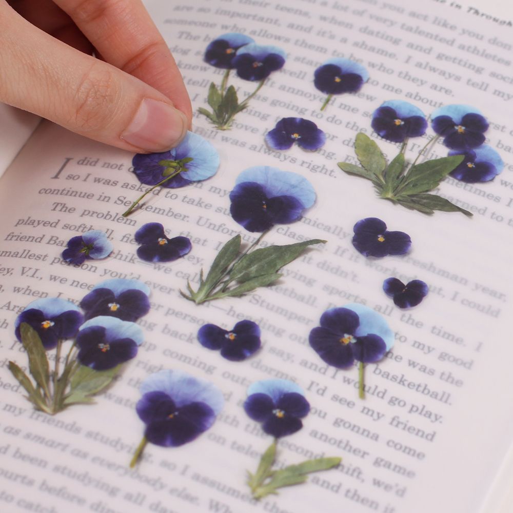 Stickers de Flores Prensadas Pansy