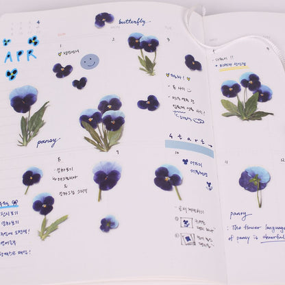 Stickers de Flores Prensadas Pansy
