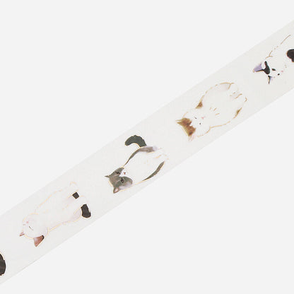 Washi Tape Foil Seated Cat