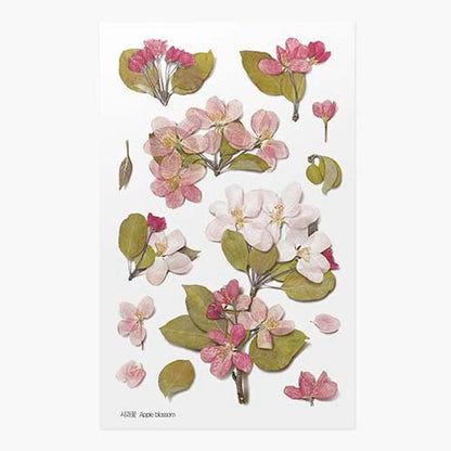 Stickers de Flores Prensadas Apple Blossom