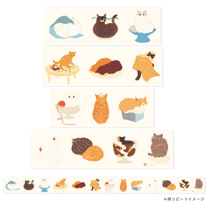 Clear Tape Cat with Magical Powers
