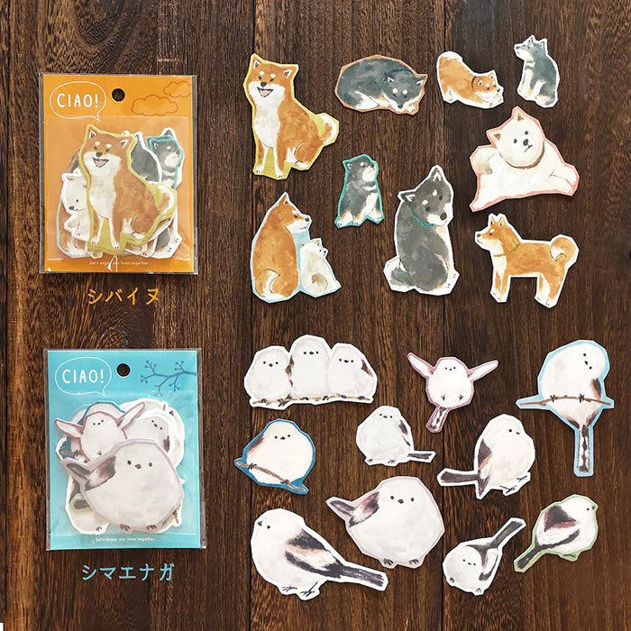 Stickers Ciao Shibainu