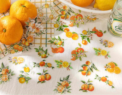 Stickers Fruit Nature Book Golden Orange