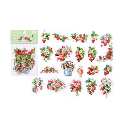 Stickers Fruit Nature Book Strawberry Sweetheart
