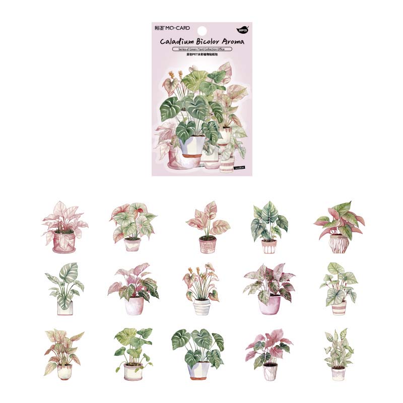 Stickers Green Plant Collection Office Caladium Bicolor Aroma