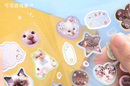 Stickers Plush Band Aid Kitten Superman