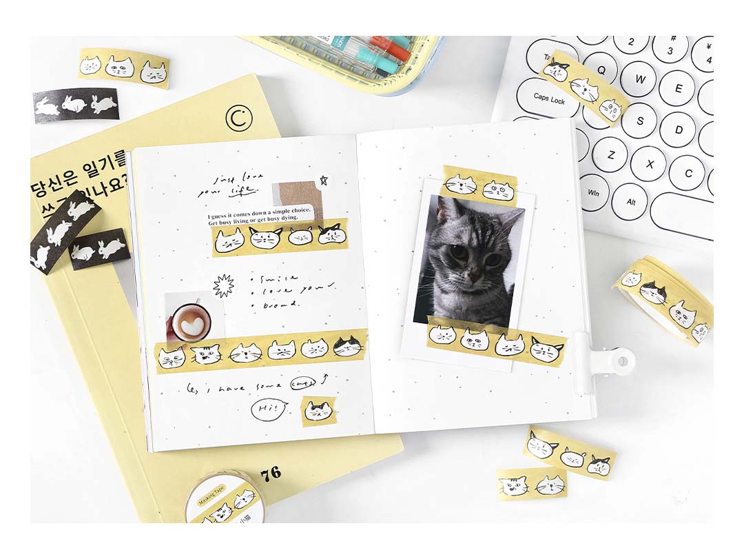 Washi Tape Spring Days Cats