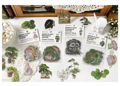 Stickers Green Plant Research Centre Giant Taro
