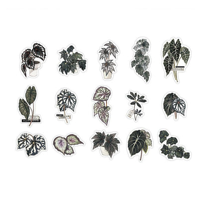 Stickers Green Plant Research Centre Giant Taro