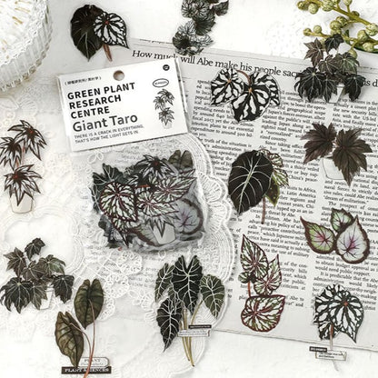 Stickers Green Plant Research Centre Giant Taro