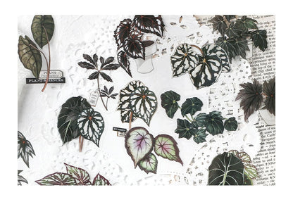 Stickers Green Plant Research Centre Giant Taro