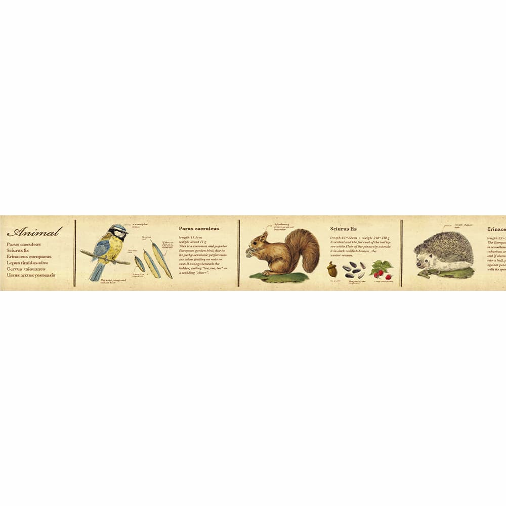 Washi Tape Encyclopedia Animal